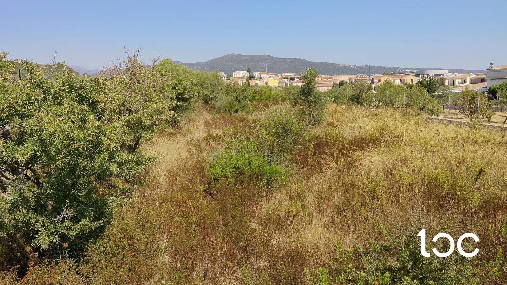 Terreno edificabile Budoni - foto 3