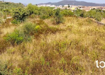 Terreno edificabile Budoni - foto 2