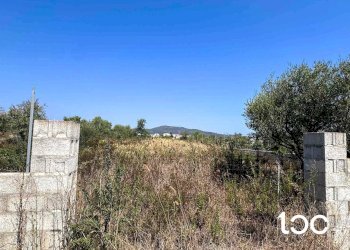 Terreno edificabile Budoni - foto 4
