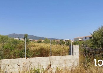 Terreno edificabile Budoni - foto 6