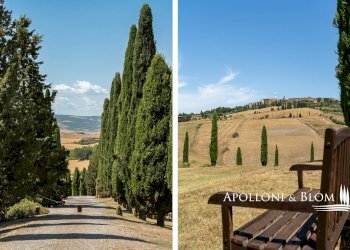 Farm Via Giorgio Santi, Pienza - photo 35