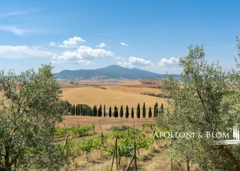 Farm Via Giorgio Santi, Pienza - photo 46