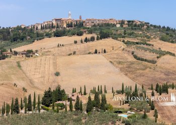 Farm Via Giorgio Santi, Pienza - photo 47