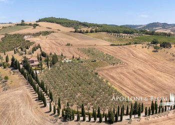 Farm Via Giorgio Santi, Pienza - photo 48