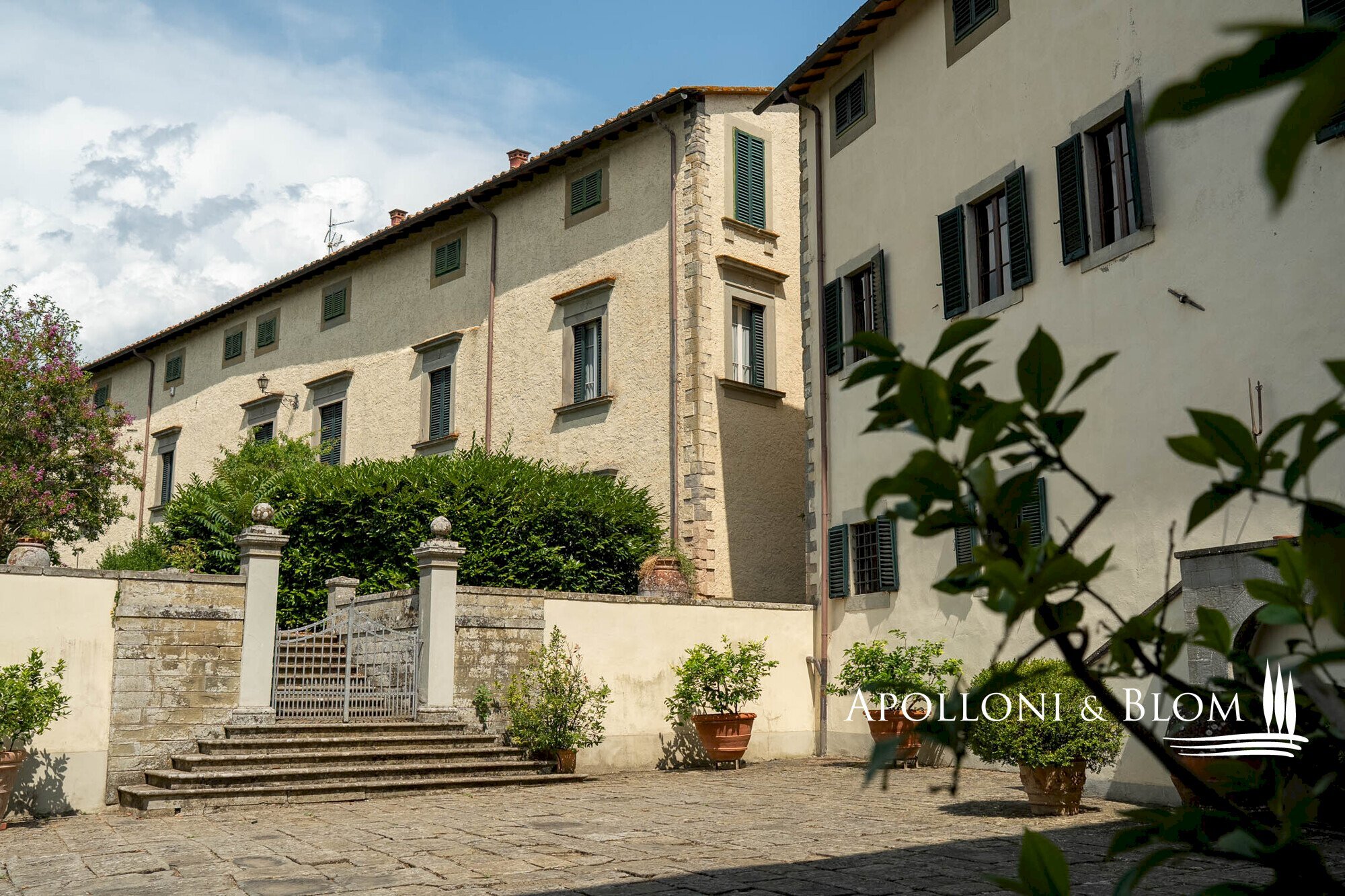 Azienda agricola Via Saragat Giuseppe, Terranuova Bracciolini - foto 1