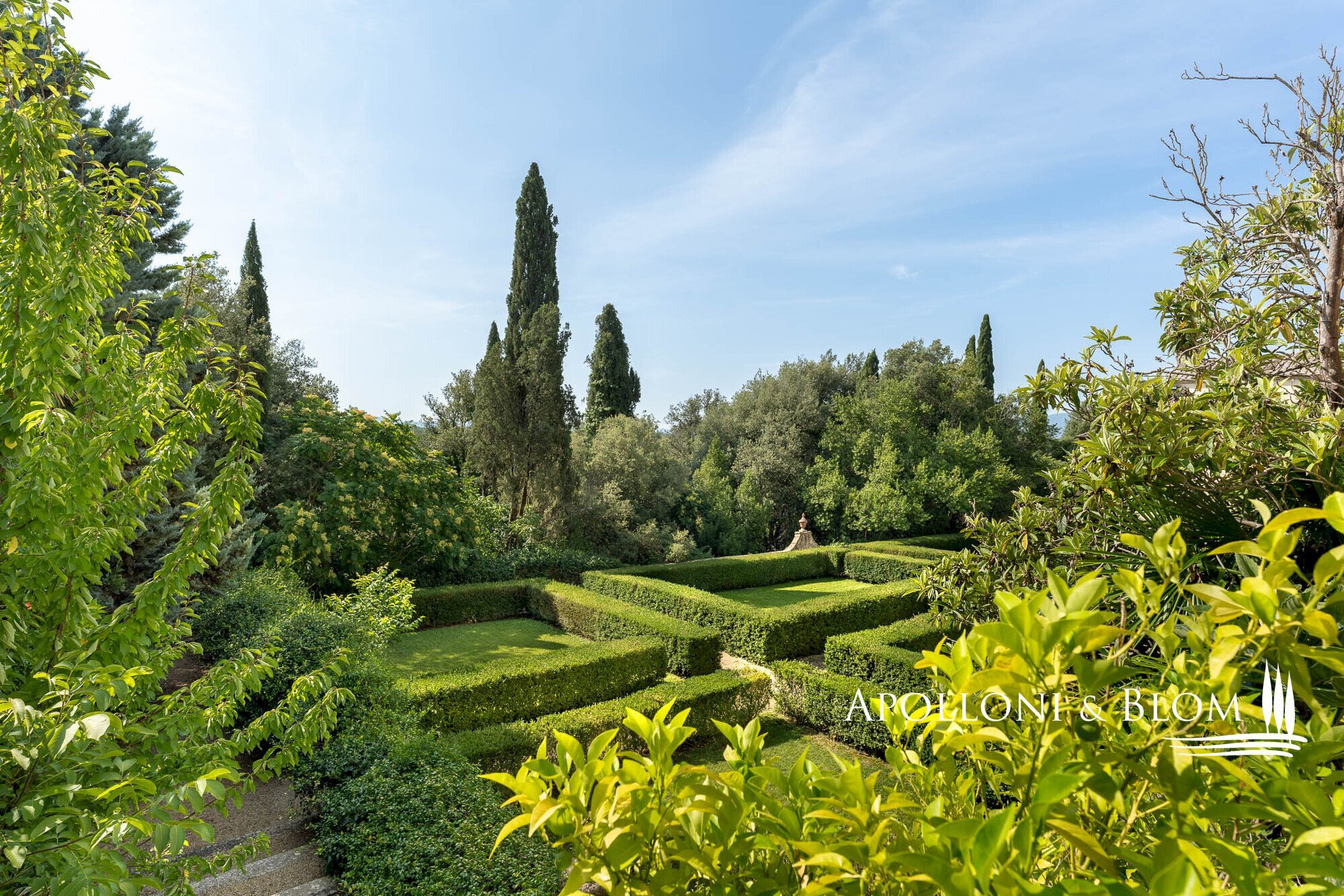 Azienda agricola Via Saragat Giuseppe, Terranuova Bracciolini - foto 2