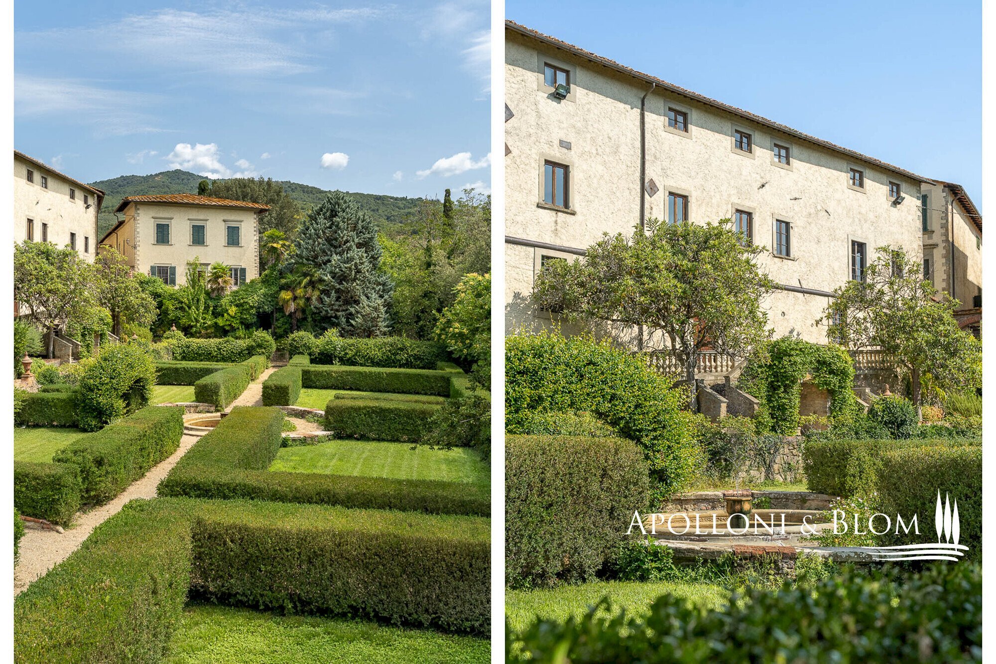 Azienda agricola Via Saragat Giuseppe, Terranuova Bracciolini - foto 3