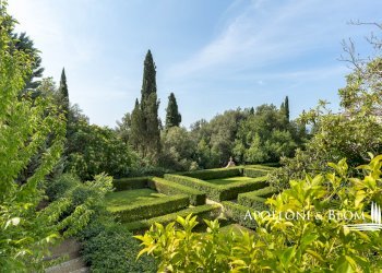 Azienda agricola Via Saragat Giuseppe, Terranuova Bracciolini - foto 2