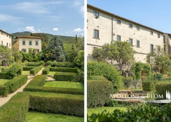 Azienda agricola Via Saragat Giuseppe, Terranuova Bracciolini - foto 3