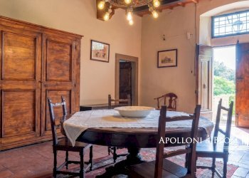 Azienda agricola Via Saragat Giuseppe, Terranuova Bracciolini - foto 18
