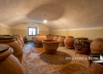 Azienda agricola Via Saragat Giuseppe, Terranuova Bracciolini - foto 19