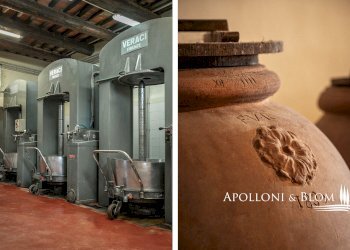 Azienda agricola Via Saragat Giuseppe, Terranuova Bracciolini - foto 20