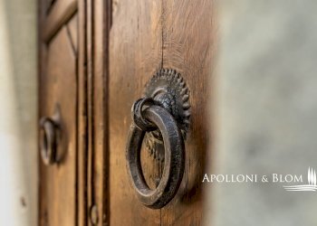 Azienda agricola Via Saragat Giuseppe, Terranuova Bracciolini - foto 26