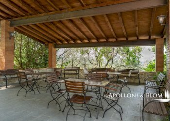 Azienda agricola Via Saragat Giuseppe, Terranuova Bracciolini - foto 30