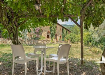 Azienda agricola Via Saragat Giuseppe, Terranuova Bracciolini - foto 31
