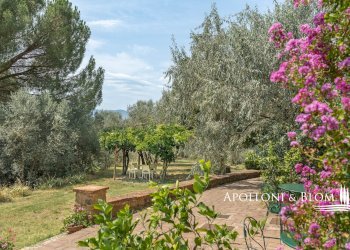 Azienda agricola Via Saragat Giuseppe, Terranuova Bracciolini - foto 32