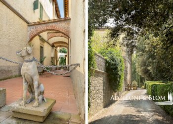 Azienda agricola Via Saragat Giuseppe, Terranuova Bracciolini - foto 39