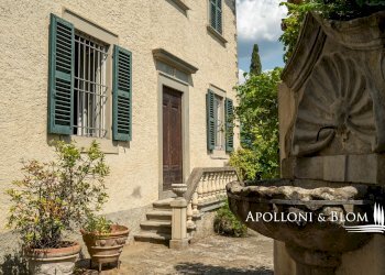 Azienda agricola Via Saragat Giuseppe, Terranuova Bracciolini - foto 40