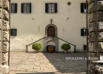 Azienda agricola Via Saragat Giuseppe, Terranuova Bracciolini - foto 41