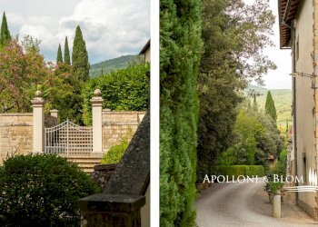 Azienda agricola Via Saragat Giuseppe, Terranuova Bracciolini - foto 43