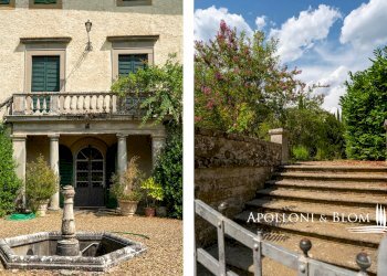 Azienda agricola Via Saragat Giuseppe, Terranuova Bracciolini - foto 45