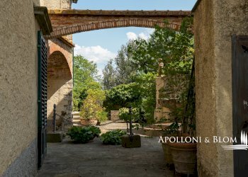 Azienda agricola Via Saragat Giuseppe, Terranuova Bracciolini - foto 46