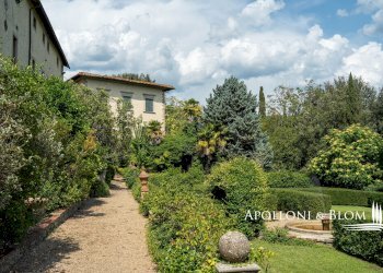 Azienda agricola Via Saragat Giuseppe, Terranuova Bracciolini - foto 48