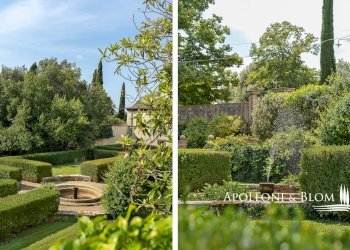 Azienda agricola Via Saragat Giuseppe, Terranuova Bracciolini - foto 49