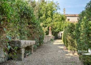 Azienda agricola Via Saragat Giuseppe, Terranuova Bracciolini - foto 50