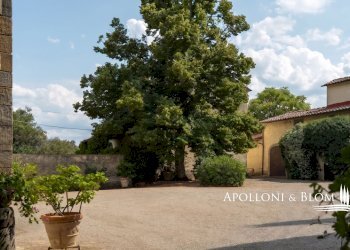 Azienda agricola Via Saragat Giuseppe, Terranuova Bracciolini - foto 54