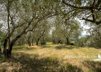Azienda agricola Via Saragat Giuseppe, Terranuova Bracciolini - foto 55