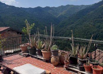 Three-room apartment Apricale - photo 25