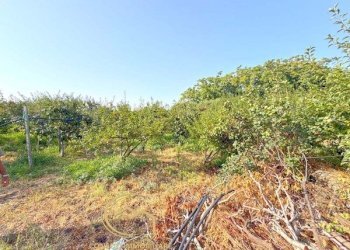 Terreno edificabile Piedimonte Etneo - foto 4