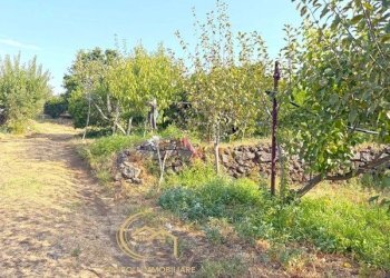 Terreno edificabile Piedimonte Etneo - foto 18