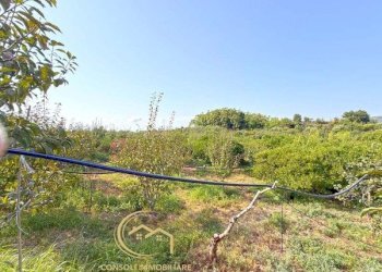 Terreno edificabile Piedimonte Etneo - foto 22
