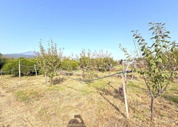 Terreno edificabile Piedimonte Etneo - foto 29