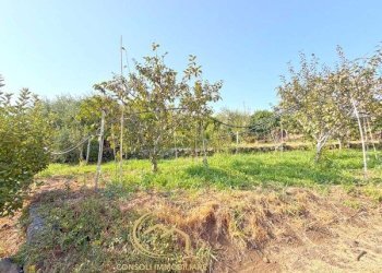 Terreno edificabile Piedimonte Etneo - foto 31