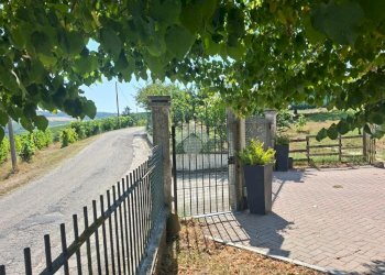 Casa indipendente Strada S. Martino, Castiglione Tinella - foto 4