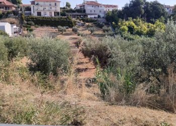 Foto 4 - Terreno edificabile via adriatica, Frisa - foto 4