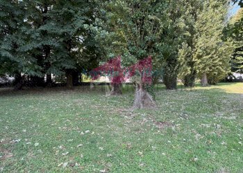 Foto 12 - Appartamento Via Enrico de Nicola
 
14, Sermide e Felonica - foto 12