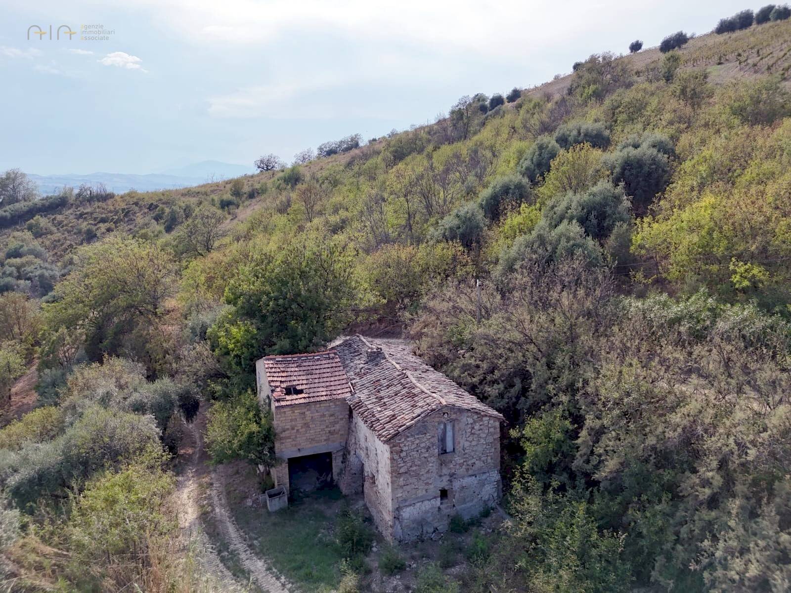 Foto 3 - Rustico C.da Cabiano
snc, Ripatransone - foto 3