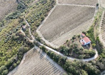 Foto 2 - Rustico C.da Cabiano
snc, Ripatransone - foto 2