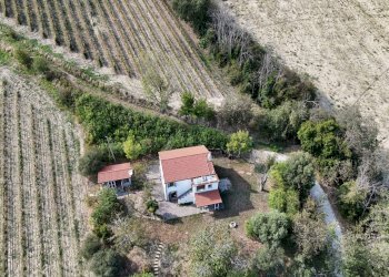 Foto 8 - Rustico C.da Cabiano
snc, Ripatransone - foto 8