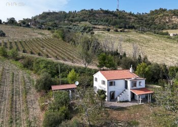 Foto 9 - Rustico C.da Cabiano
snc, Ripatransone - foto 9