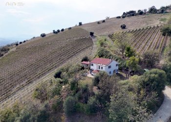 Foto 10 - Rustico C.da Cabiano
snc, Ripatransone - foto 10