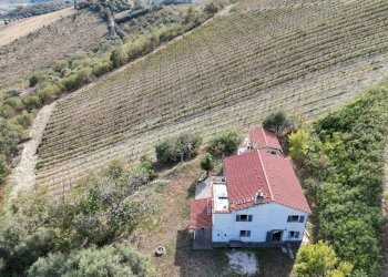 Foto 14 - Rustico C.da Cabiano
snc, Ripatransone - foto 14