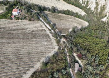 Foto 19 - Rustico C.da Cabiano
snc, Ripatransone - foto 19