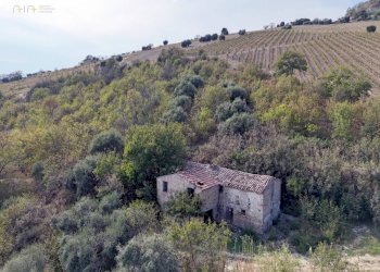 Foto 22 - Rustico C.da Cabiano
snc, Ripatransone - foto 22