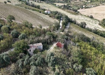 Foto 23 - Rustico C.da Cabiano
snc, Ripatransone - foto 23