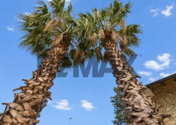 Dettagli - Villa Via Giovanni Caboto
 
19, Mascalucia - foto 15